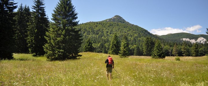 NP Risnjak