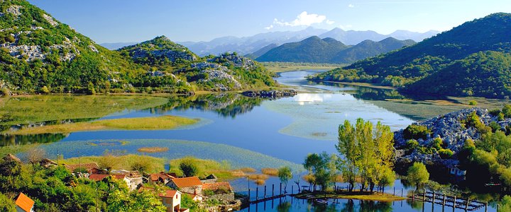 Skadar Lake (Albania)