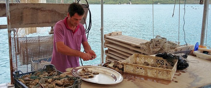 Croatia's Culinary Voyage: Truffles, Cheese & Wine