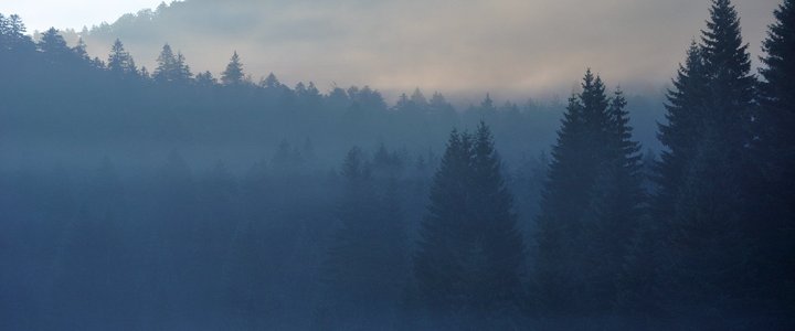 Istinska ljepota prirode